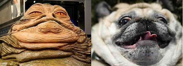 Jabba el Hutt