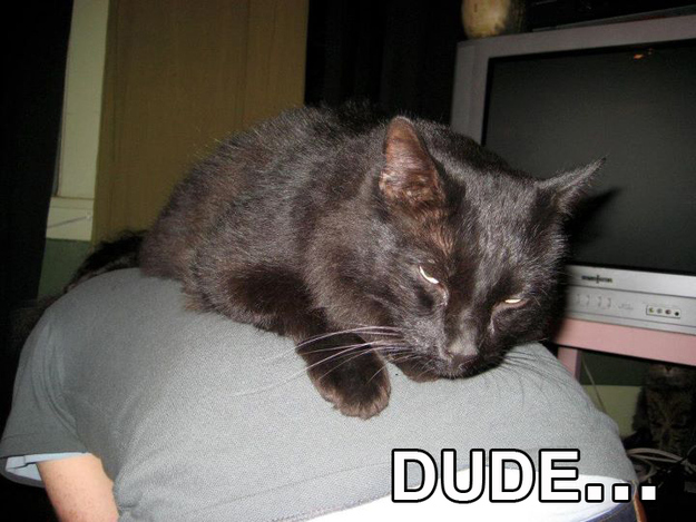 ... i just woke up on top of this dude...