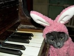"You want me to wear this and play the piano? Why do you hate me?"