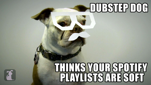 Dubstep Dog thinks your Spotify playlists are soft.