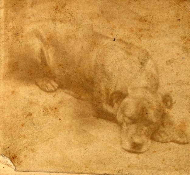Sallie the bull terrier was the mascot of the 11th Pennsylvania Regiment during the American Civil War. War is brutal, tedious, and generally indescribably horrible, so you can imagine the soldiers of the 11th collectively went "OMG PUPPY" when the regiment received her as a gift in West Chester, PA. She became very attached to the soldiers, accompanying them on drills and marches, and even to the battlefield itself. During the battle of Gettysburg, the bloodiest site of the Civil War, Sallie went missing. After three days of being puppy-deprived, her regiment found her waiting at the site of their original charge, dilligently standing guard over the corpses of the fallen members of the 11th Pennsylvania.If the Purple Heart had existed at the time, Sallie would have deserved one. She was shot in the neck at Spotsylvania, but survived. In 1865, she joined the first attacking wave at Hatcher's Run and was shot in the head, dying instantly. Grieving members of the 11th supposedly stopped to bury her where she fell, despite being under heavy fire.When the survivors of the 11th Pennsylvania erected a monument at Gettysburg commemorating their fallen comrades, they included a likeness of Sallie at the base, to watch over them for all time.