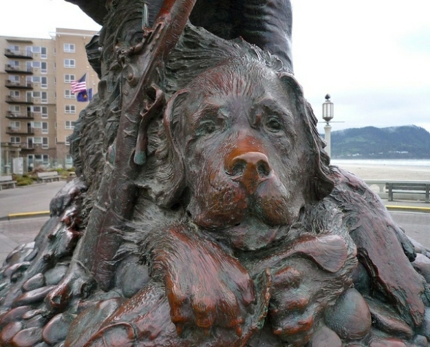 Seaman, a Newfoundland dog, bears the distinction of being the only animal to complete Lewis and Clark's journey. This is impressive for two reasons. First, the historic trip was a long one. It's safe to say that no dog had attempted journeying from the Atlantic to the Pacific by land before. Second, and likely by virtue of being Merriwether Lewis's pet, Seaman managed to escape the fate of most dogs that started the trip; to survive in the wilderness, the Corps of Discovery consumed 263 dogs as they traveled westward. This, by the way, is why modern dogs are grateful for fast food chains at truck stops.In general, Seaman seems to have received special attention from Lewis and Clark. After a rogue beaver severed Seaman's artery, the two stopped to perform surgery on the dog. On the way home, Seaman was kidnapped by Native Americans, but Lewis organized a rescue mission. Also, Lewis named a tributary of the Blackfoot River "Seaman's Creek," but some (obviously dog-hating) person has since renamed it. Merriwether Lewis paid a whopping twenty dollars for Seaman in 1803; I suspect he thought it was a good investment.