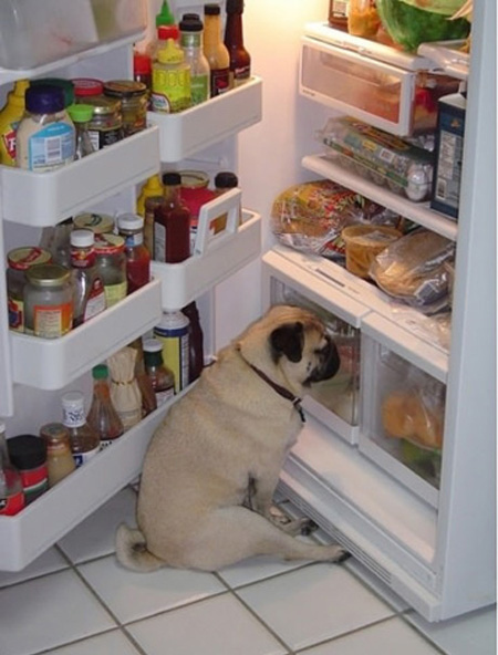 Linda wishes she could find solace in places other than food.