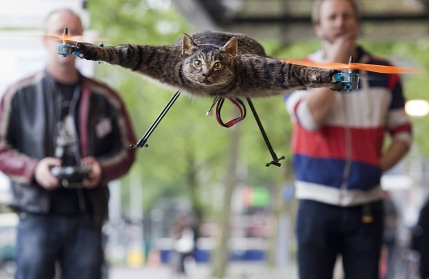 The Orvillecopter flies in central Amsterdam as part of the KunstRAI art festival on June 3, 2012. Jansen said the Orvillecopter is part of a visual art project which pays tribute to his cat Orville. He built the Orvillecopter together with radio control helicopter flyer Arjen Beltman.