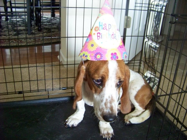I don't think "happy" birthday is the correct phrase here.