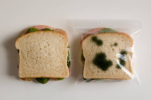 Plastic bags with fake mold graphics keep sticky fingers off your sandwiches. Clever trick, or totally pointless?
