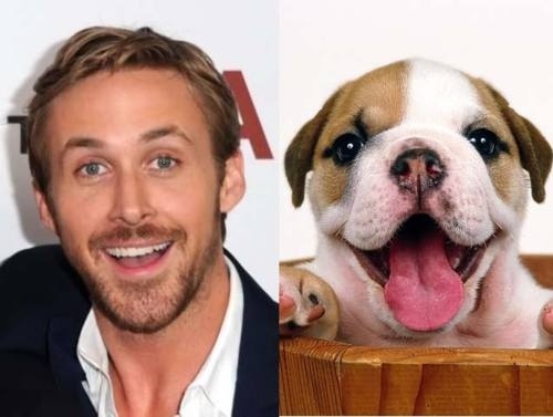Happy Ryan or happy puppy?
