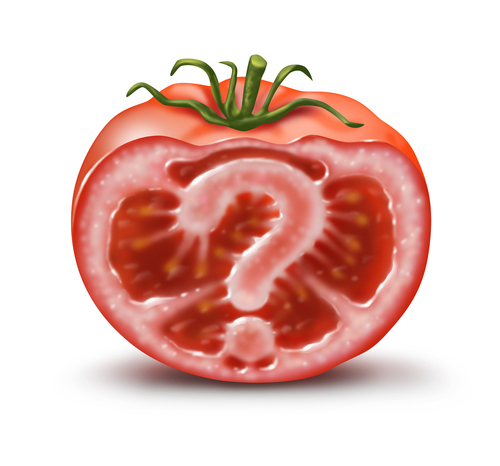 Nice try. Tomatoes, under botanical classification, are fruits. The U.S. Supreme Court might classify them as a vegetable, but this is ONE situation where the wit and charm of a bunch of very dour people in black robes isn't the final say.