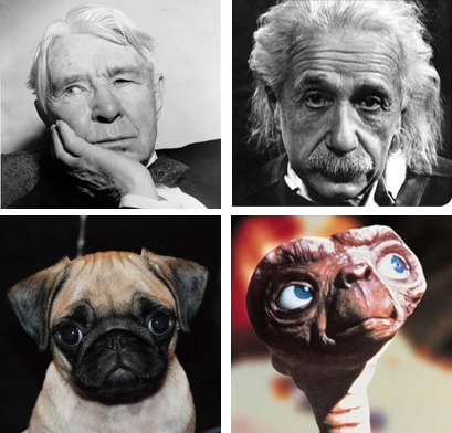 From his squat waddling gait, to his outstretched neck and earthy colour, E.T. was always intended to be like a walking sentient plant. It certainly explains his affinity for flowers at least.Not only that but his face was inspired by and tries to incorporate some of the features of poet Carl Sandburg and physicist Albert Einstein.