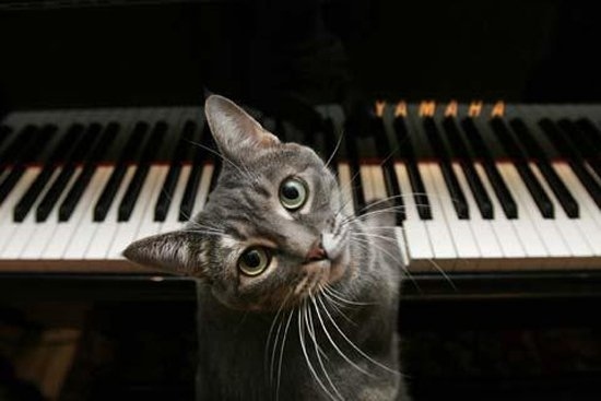That face, matched with those piano skillz...