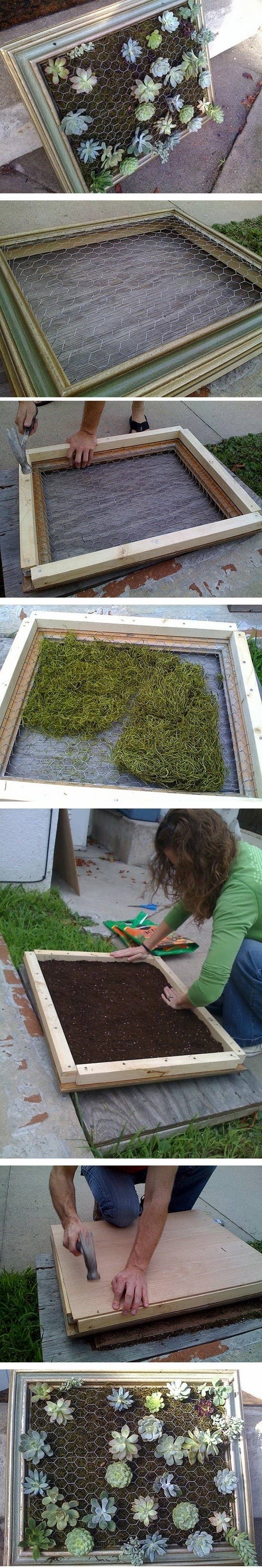 Succulents survive with very little light and water. Get the directions here on how to make this.
