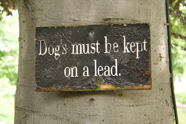 "Dog's on a Lead" Sign