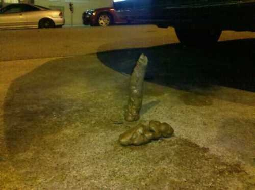 The pinner says: “The amazing stand up turd from san Francisco’s tenderloin. No Photoshop or molding here folks, just pure amazing human shit!! Nasty like Janet, Jackson that is.”