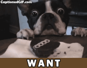 15 Delicious Cookie Reaction GIFs