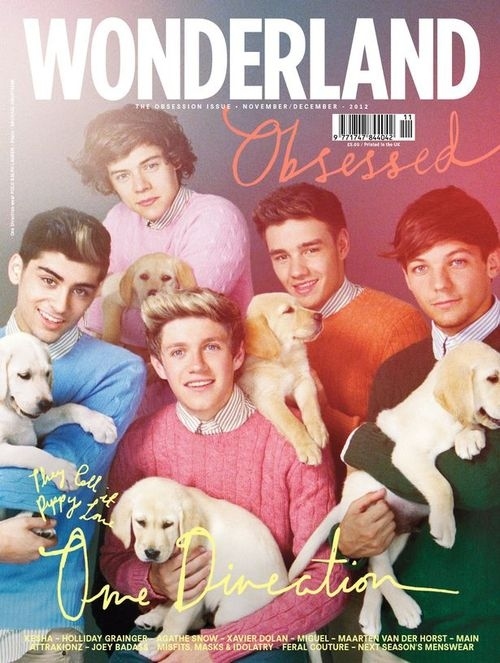 Warning Cute Overload One Direction And Puppies