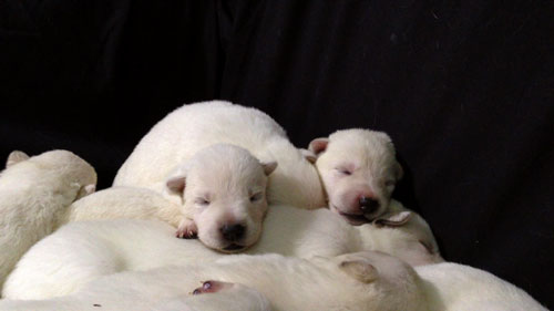 They're 10 days old!