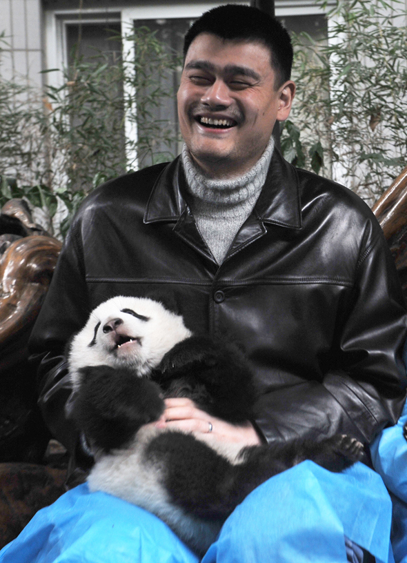 Yao Ming with a panda.