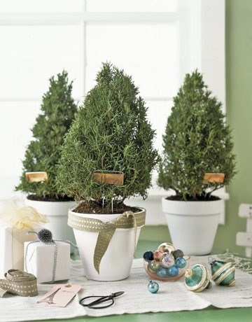 You can shape them to resemble small Christmas trees.