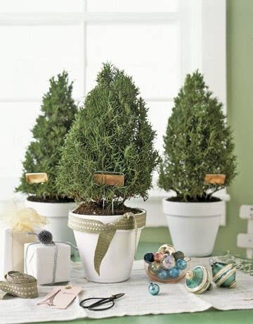 You can shape them to resemble small Christmas trees.