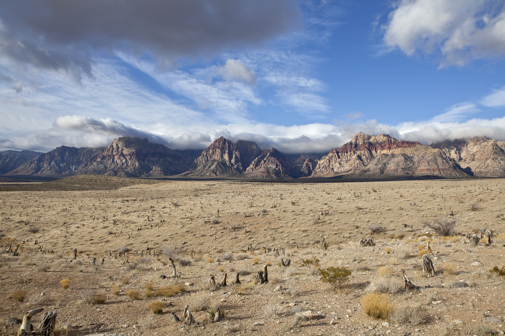 12 Amazing Desert Photos That Look Like They’re From A Different Planet