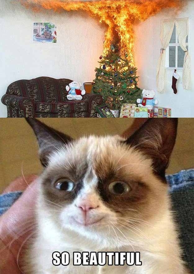 christmas grumpy cat