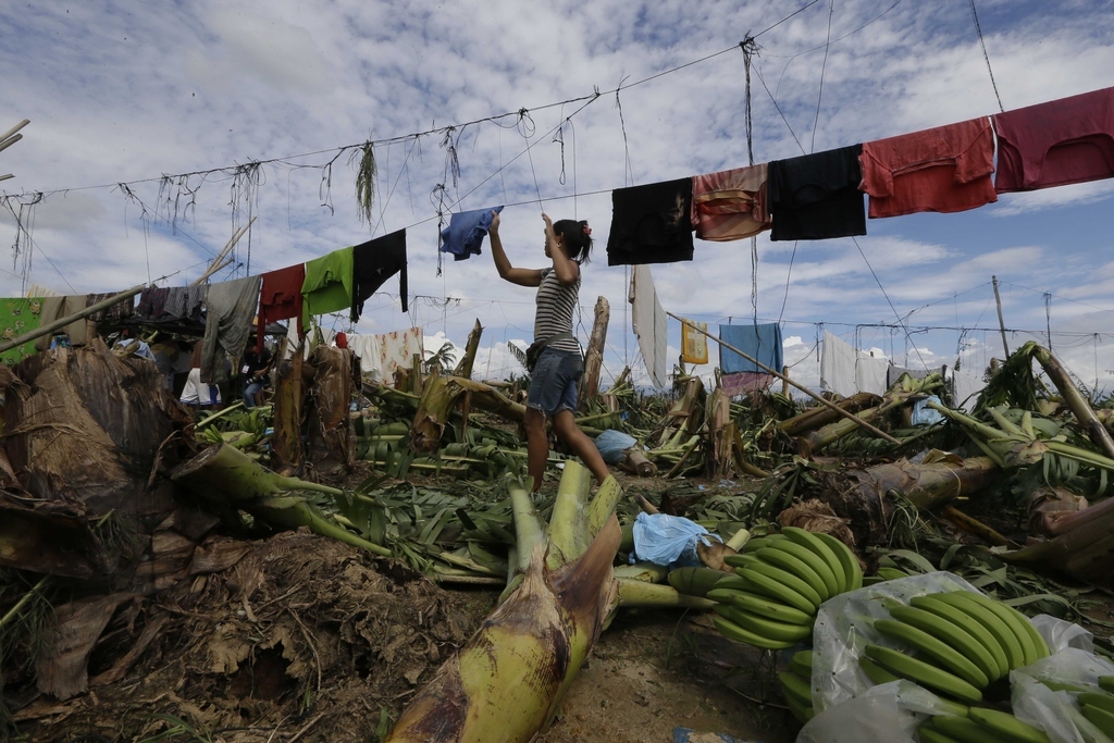 A resident hangs clothing amid fallen trees and debris a day after Typhoon Bopha made landfall in the village of Andap, New Bataan township, Compostela Valley in southern Philippines, Dec. 5, 2012.