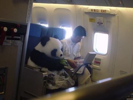 An oldie but a goodie. He must have paid a lot for all that extra legroom.