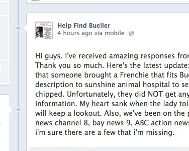 Updates came in. Bits of hope were still alive, but nothing promising.