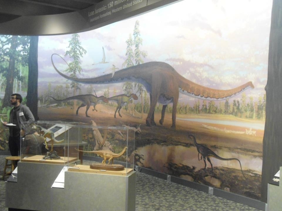 i wrote a report in 5th grade on the apatasauraus, he wrote an entire database.