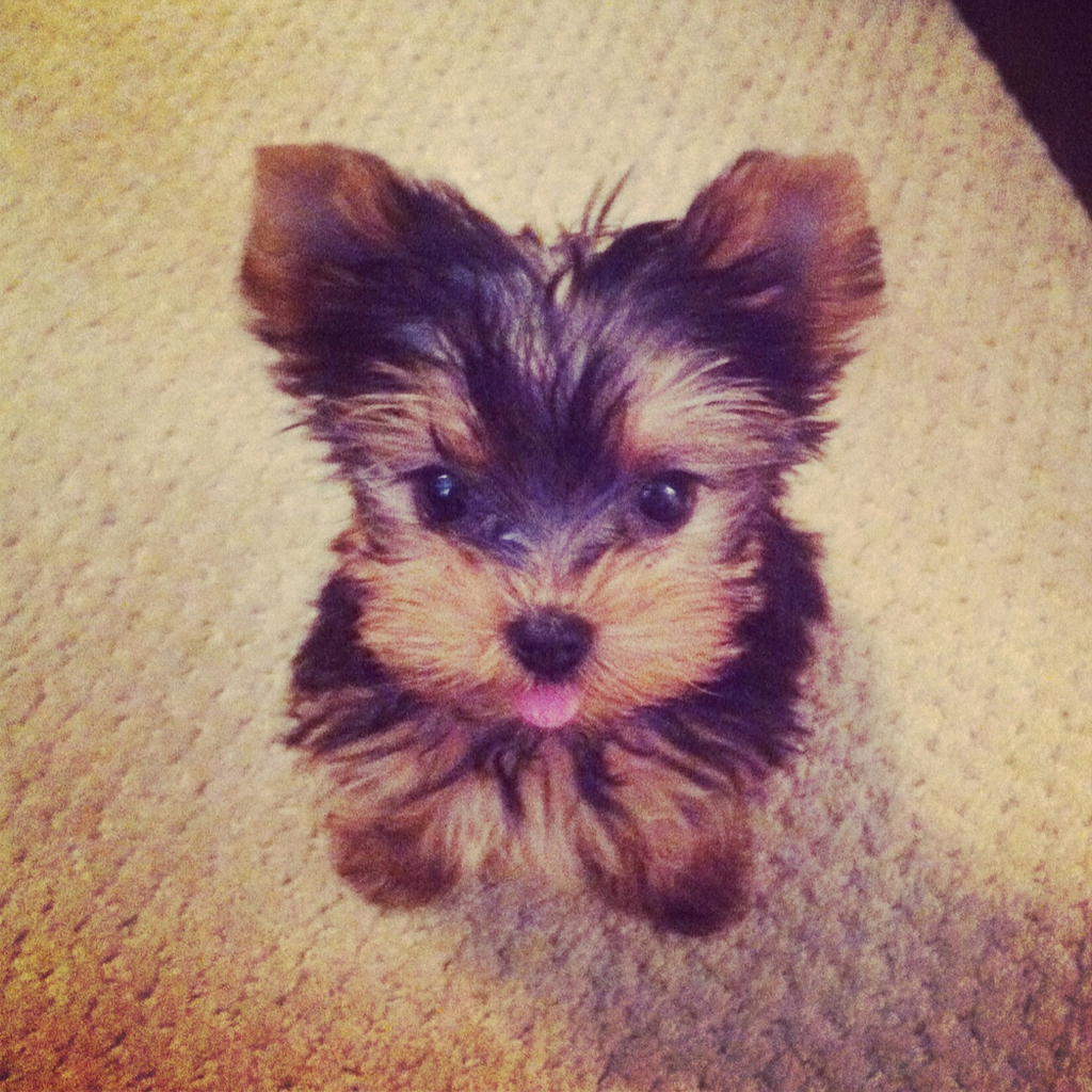 Her tongue.