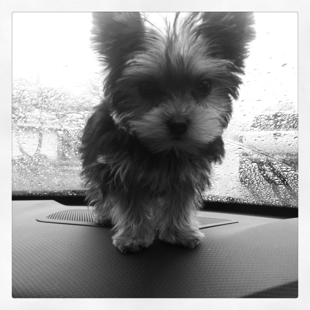 She loves the rain...