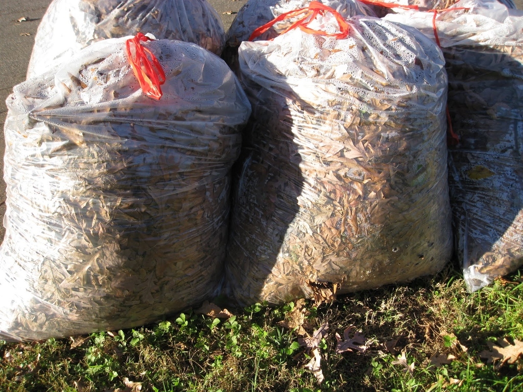 "I have many bag of leaves."
