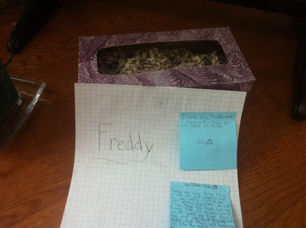 I am a nanny to one rambunctious 11-year-old boy and one rather demure 8-year-old girl. I arrived at work today to find this on the living room floor, accompanied by a burned out candle. I guess their hamster and first pet - EVER- went to "Hevan" over the weekend. The boy's over-the-top attitude about it put me off but Julia's quiet innocence made me want to cry. And usually I see these kids mostly as good birth control.
