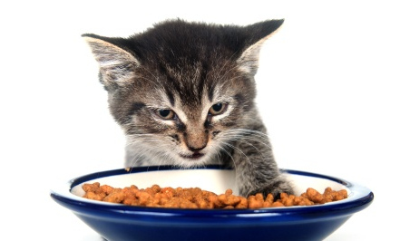 I don't wash their bowls after every meal.