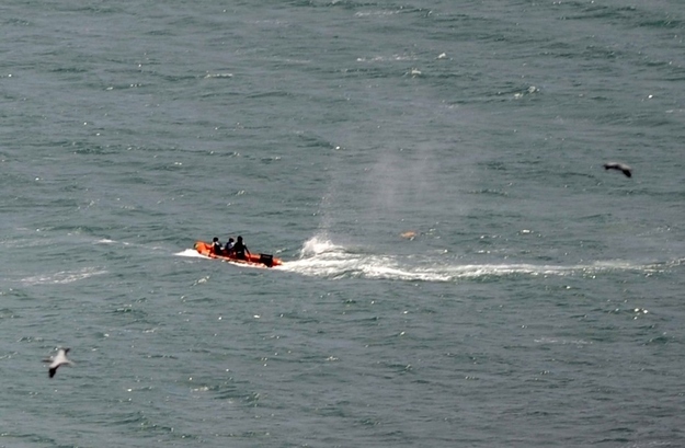 Police in inflatable rubber boats shoot at a shark off Muriwai Beach near Auckland, New Zealand, Wednesday, Feb. 27, 2013, as they attempt to retrieve a body following a fatal shark attack. Police said a man was found dead in the water after being "bitten by a large shark.