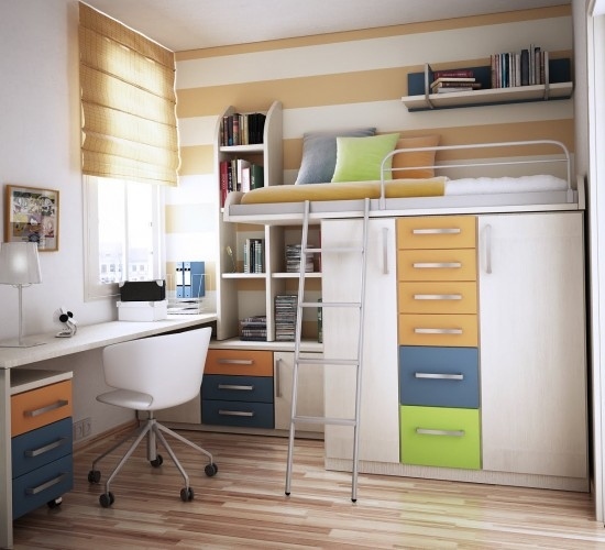 loft bed with desk and closet