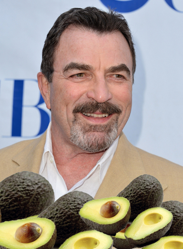 Currently starring in Blue Bloods, Tom Selleck also has an avocado farm that's 20-acres large in Ventura, California. "It's hard to make a living, let alone a profit," Selleck told People magazine. But the weirdest part is that he doesn't even like them! "They make me gag."