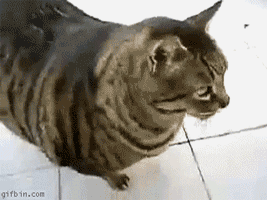 Has the power to cat out, like really hard.