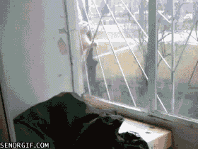 He does whatever a spider can, and also coughs up hairballs.
