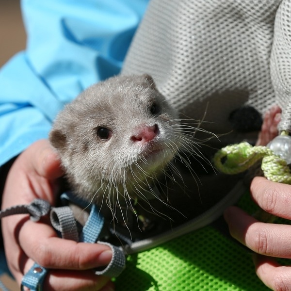 Source: Blog Livedoor JP