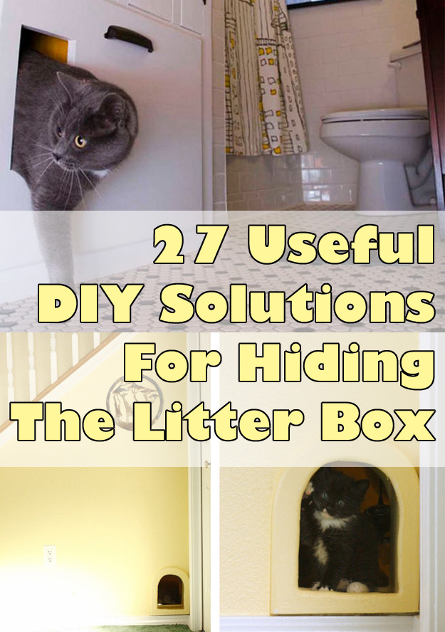 Creative litter box solutions hotsell