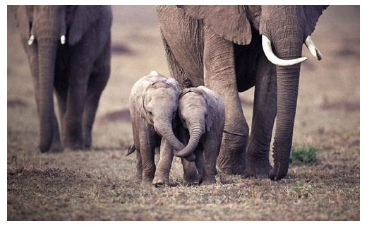 Holding trunks omg!