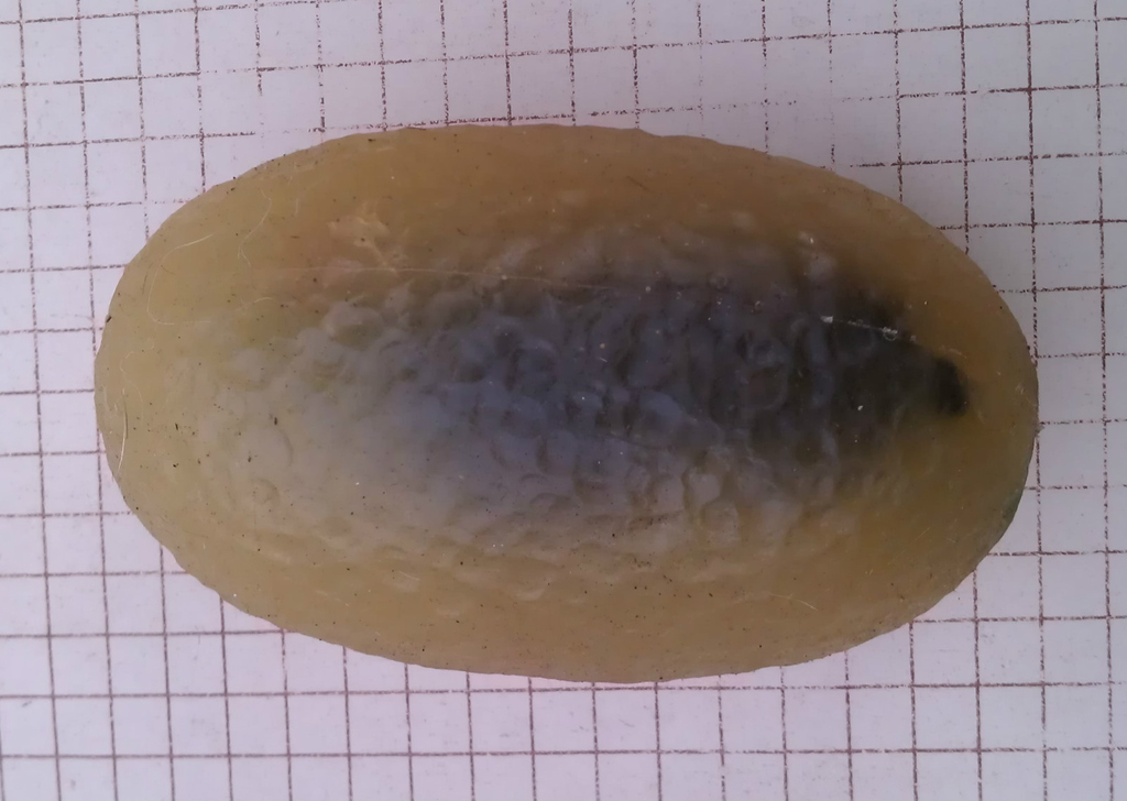 "My guess is that the little guy inside is made from urethane plastic tinted green and then given a simple paint job. He was then suspended and encased in a hot melt vinyl egg. The egg has yellowed a litte over the years, and he is a little difficult to see, but I always remembered the embryo to be hard to distinguish."