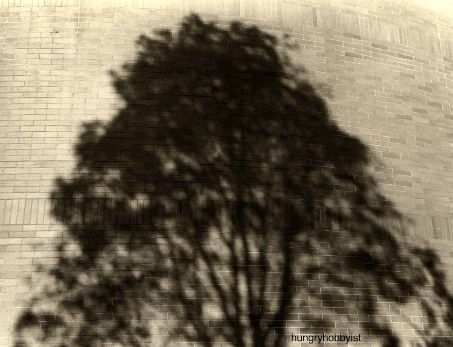 Cast AwayIt is better to cast a shadowthan it is to cast a stone.It is worse to cast a spellthan leave well enough alone.It is wiser to cast off your clothes in the comfort of your own home.And it is best to cast your cares awayas you enter the great unknown.© 2013 L.E.H.