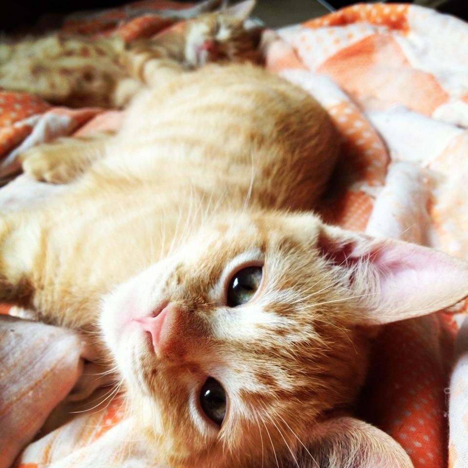 "Aren't we the cutest?!"