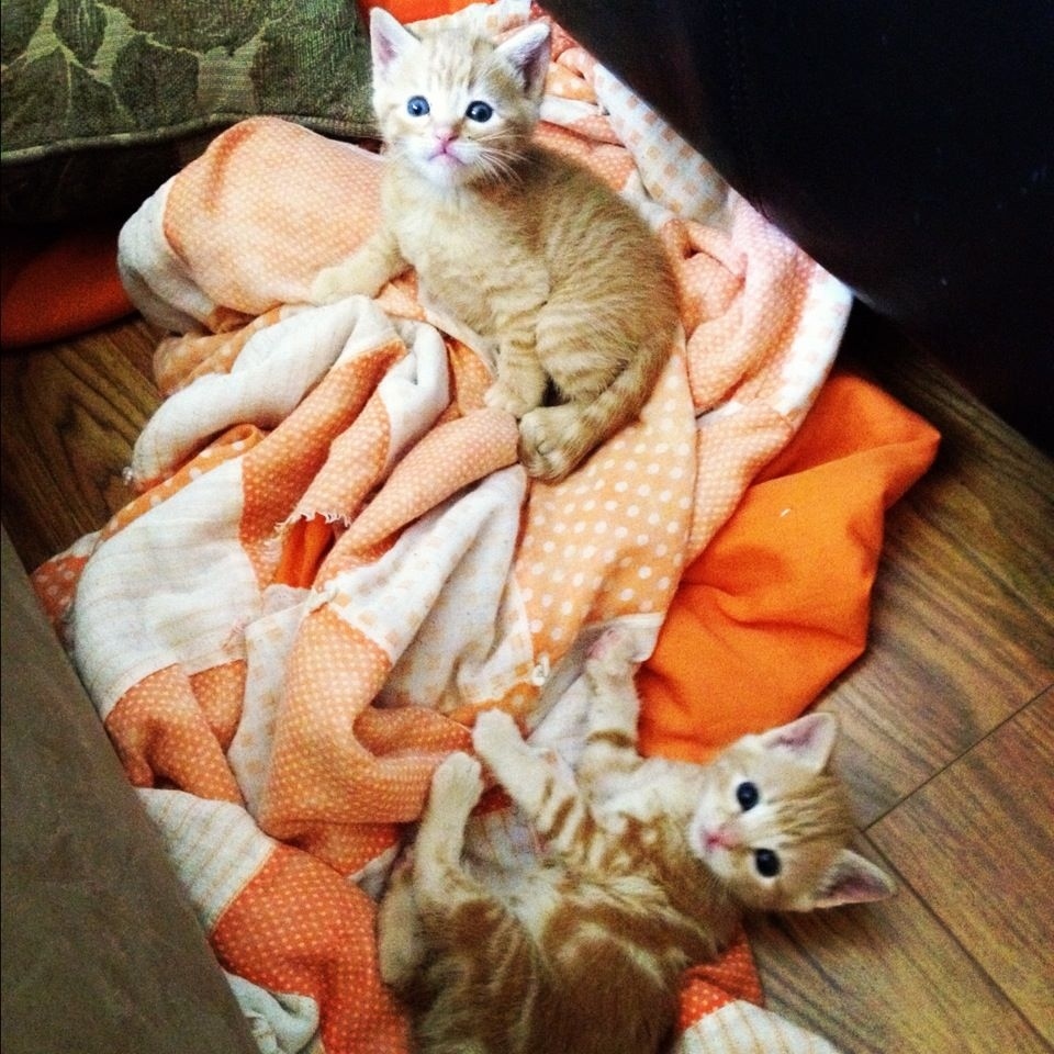 "Look how tiny we are!"