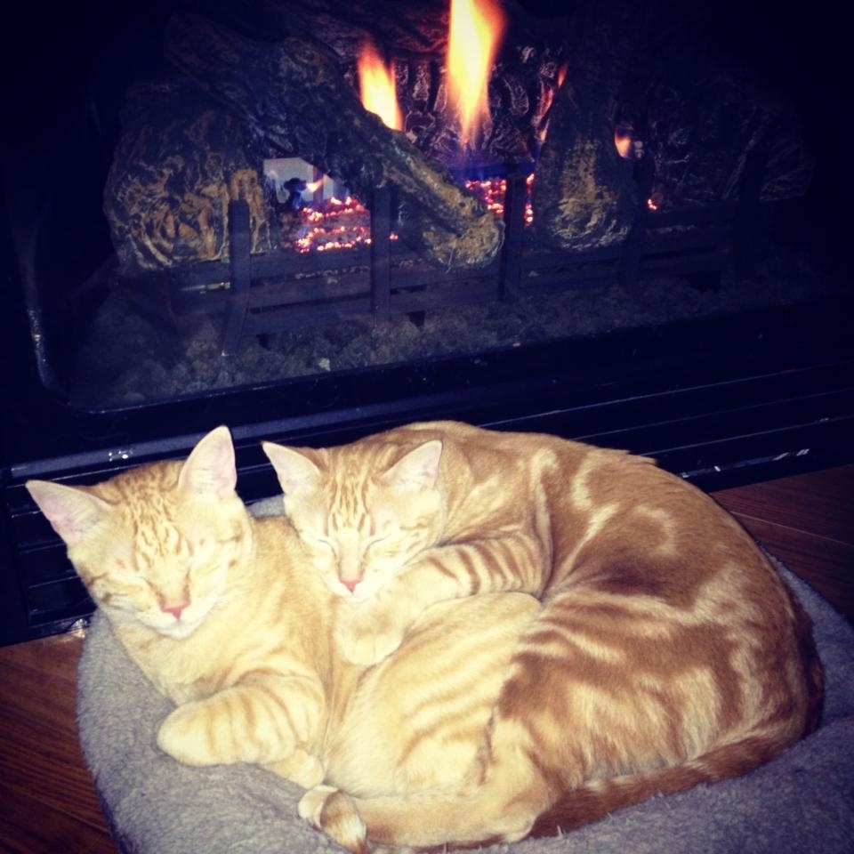 "...long walks on the beach, cozy evenings by the fire...with my brother."