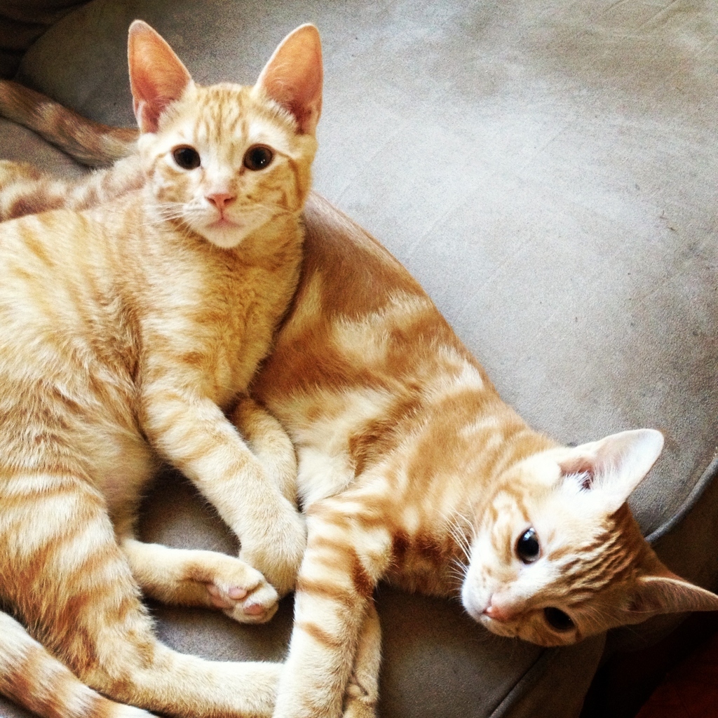"He's my best friend!"
