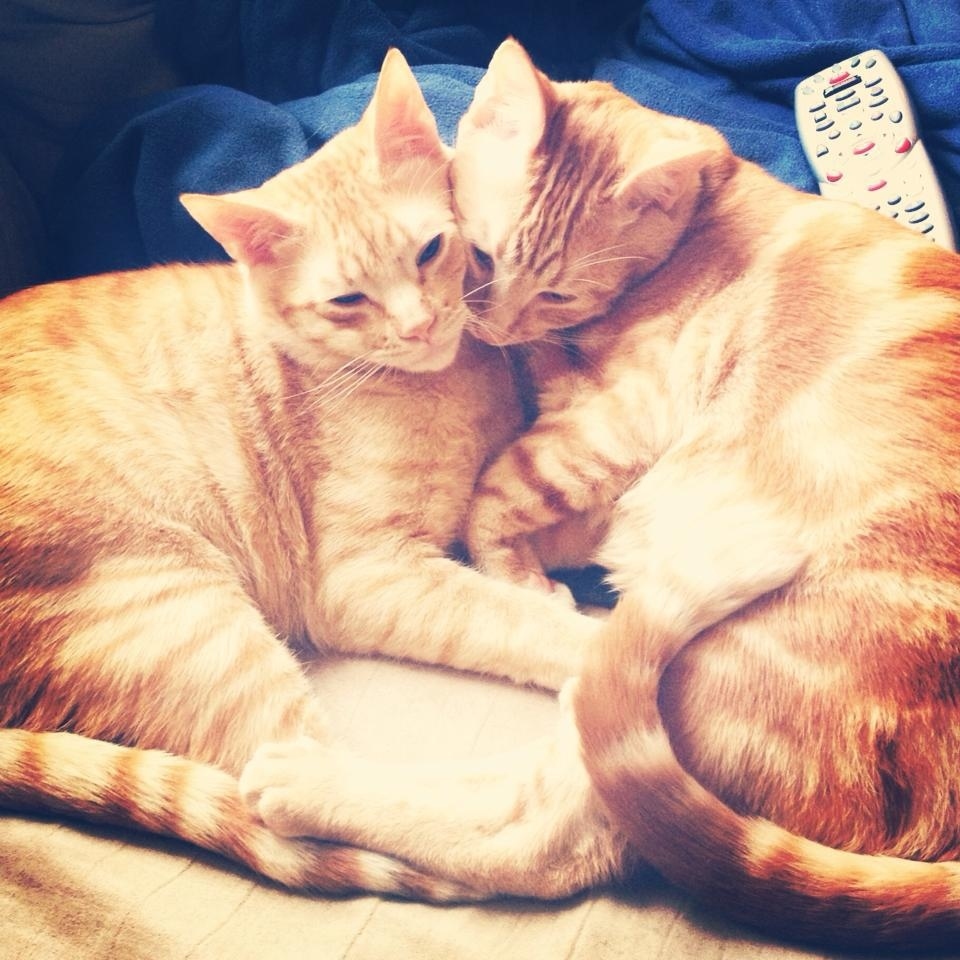 Awwwwwwww!!! <3