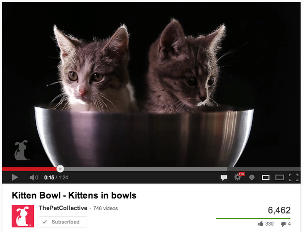 98.79% of people think that kittens in bowls is the kind of thing that makes the internet glorious.1.21% of people have forgotten that kittens on the internet are allergy-free.